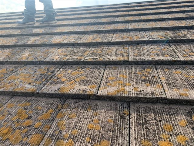 色褪せて苔が繁殖したセメント瓦屋根